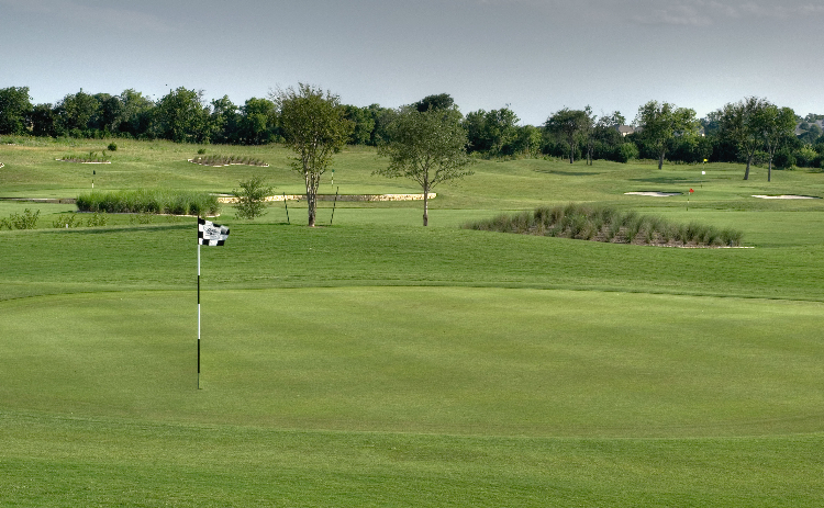 view of golf course green with flagpole